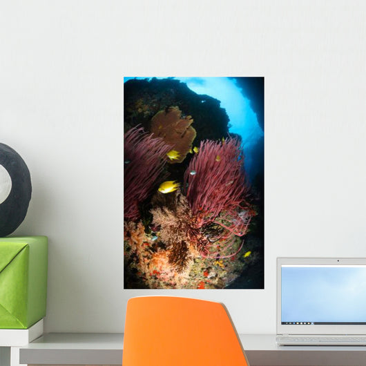 Sea Whips Fiji Wall Decal