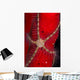 Brittle Star Sponge Belize Wall Decal Design 2
