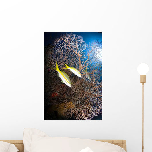 Yellowtail Snappers and Sea Wall Decal