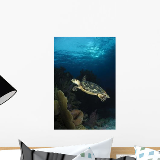 Hawksbill Sea Turtle Swimming Wall Decal