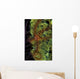 Brittle Star Sponge Belize Wall Decal Design 1