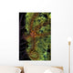 Brittle Star Sponge Belize Wall Decal Design 1