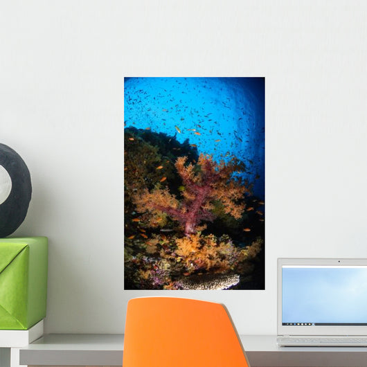 Soft Coral Seascape Fiji Wall Decal Design 2