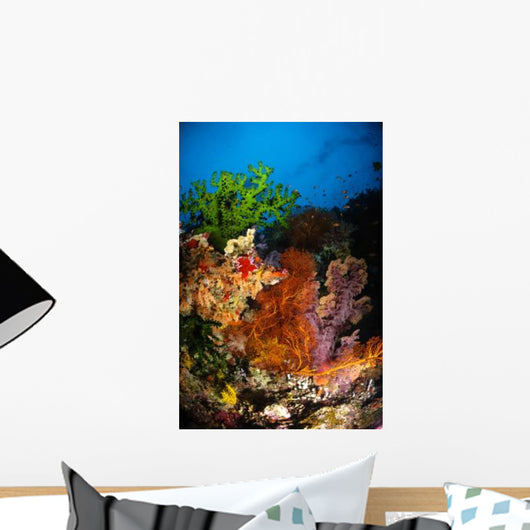 Hard Coral and Soft Wall Decal