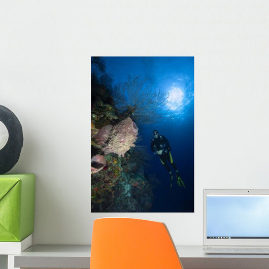 Barrel Sponge and Diver Wall Decal