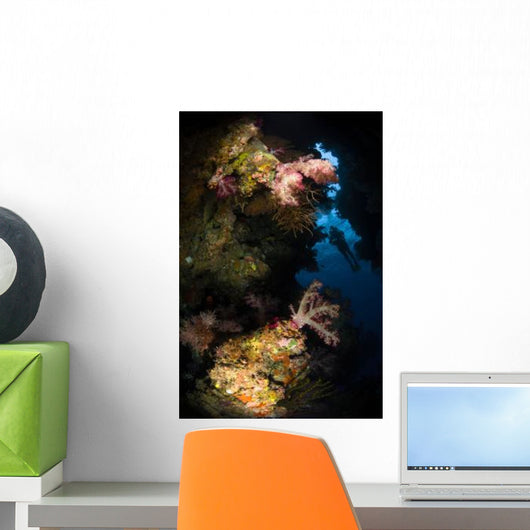 Diver Soft Coral Seascape Wall Decal