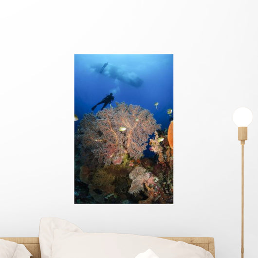 Diver Swims over Sea Wall Decal