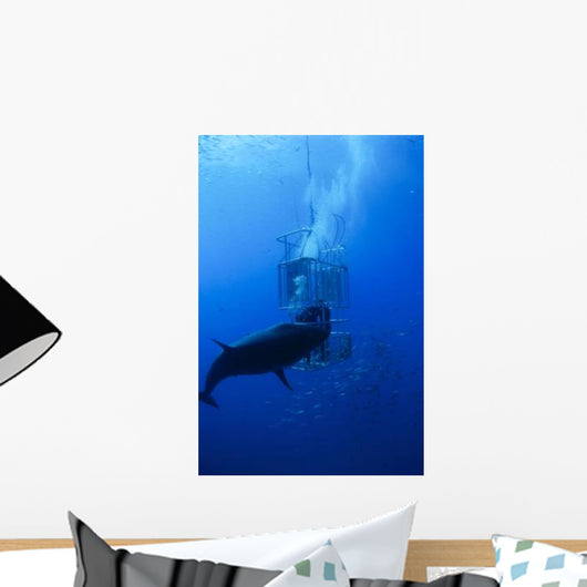 Great White Shark and Wall Decal Design 1