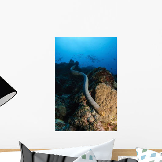 Highly Venomous Olive Sea Wall Decal