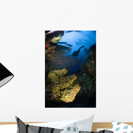 Diver Swims over Reef Wall Decal