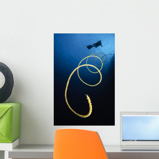 Diver Swims above Whip Wall Decal