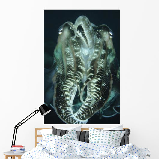 Cuttlefish Indonesia Wall Decal Design 1