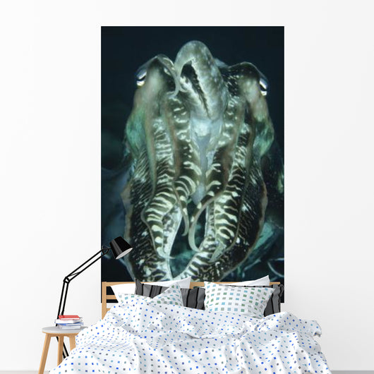 Cuttlefish Indonesia Wall Decal Design 1