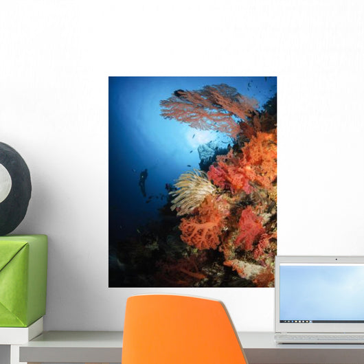 Diver Swims Soft Coral Wall Decal