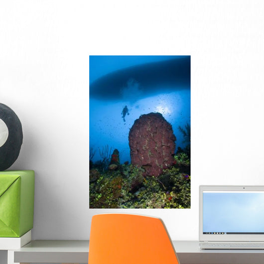 Diver and Barrel Sponge Wall Decal