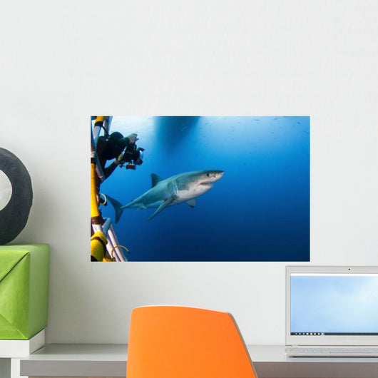 Photographer Taking Picture Male Wall Decal