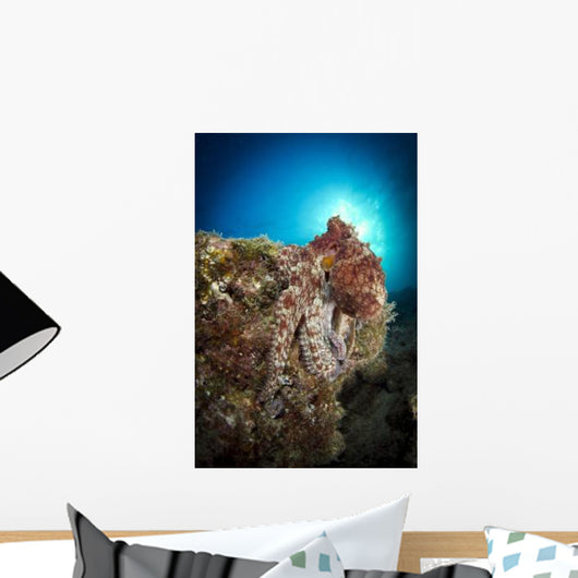 Octopus Posing Reef La Wall Decal