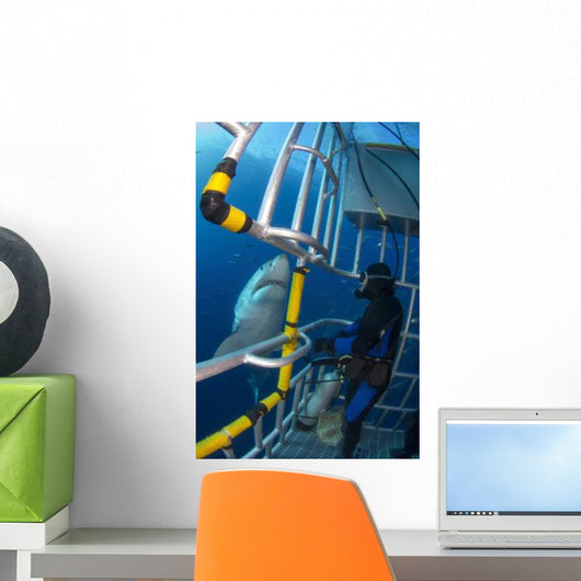 Diver Observes Male Great Wall Decal