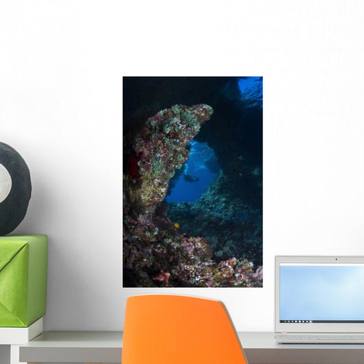 Diver Boo Windows Raja Wall Decal