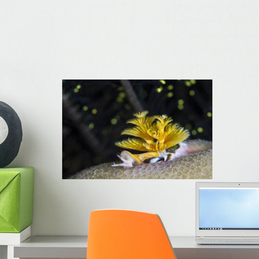 Christmas Tree Worm Raja Wall Decal