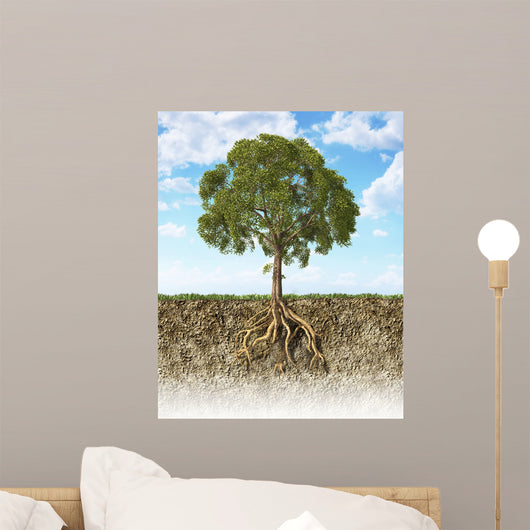 Cross Section Soil Showing Wall Decal