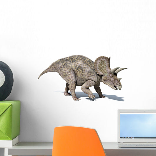 3D Rendering Triceratops Dinosaur Wall Decal Design 1