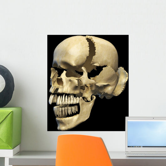 Perspective Human Skull Black Wall Decal