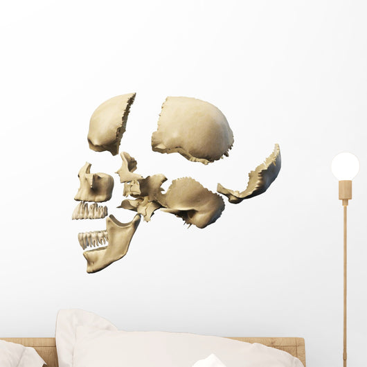 Side Human Skull White Wall Decal