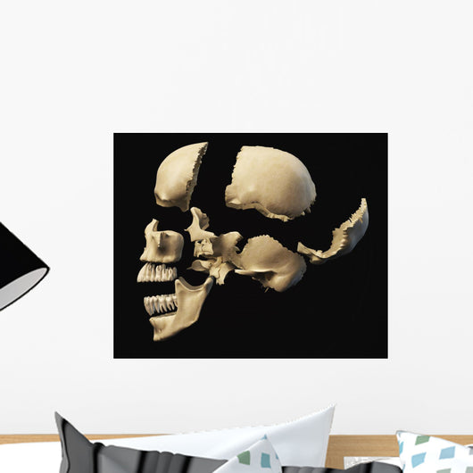 Side Human Skull Black Wall Decal