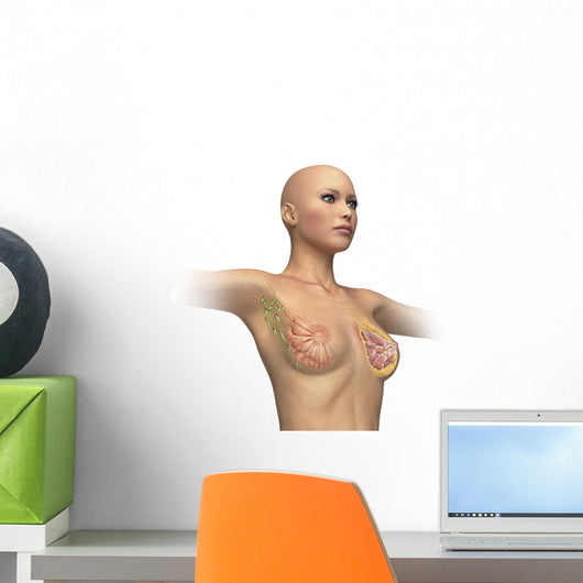 Woman Torso with Breast Wall Decal