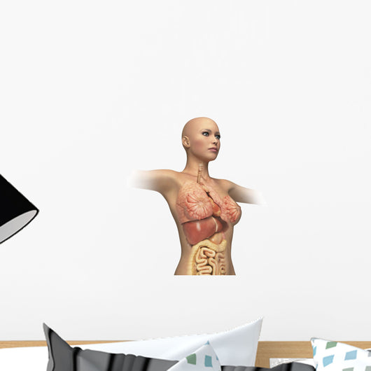 Woman Body Midsection with Wall Decal