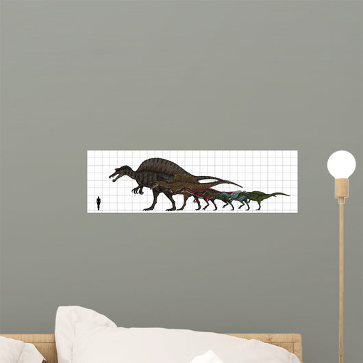 Spinosauridae Size Chart Wall Decal