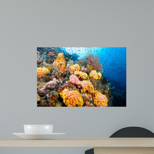 Reef Wall Covered with Wall Decal