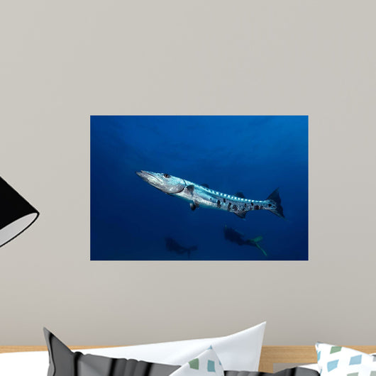 Great Barracuda with Divers Wall Decal
