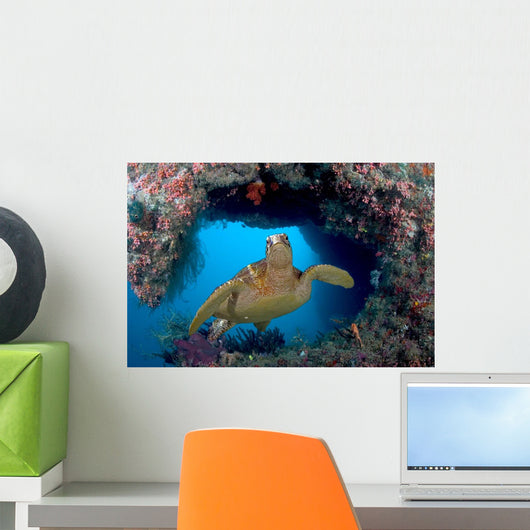 Green Sea Turtle Swims Wall Decal Design 3