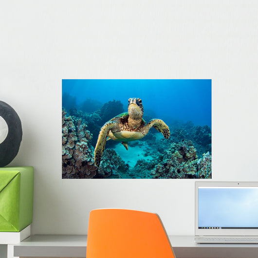 Endangered Green Sea Turtle Wall Decal Design 3