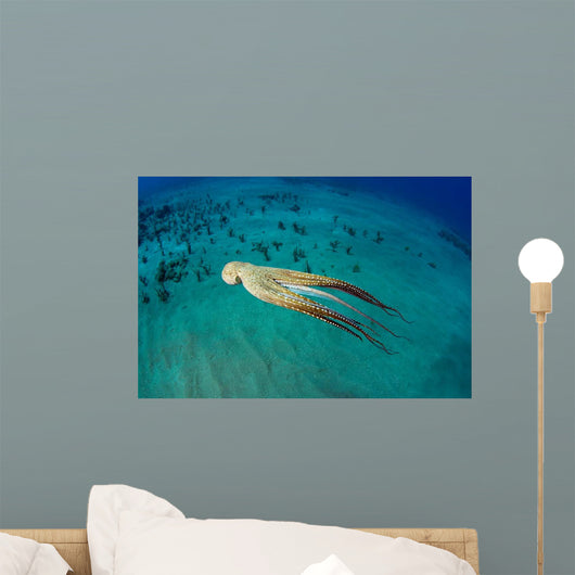 Day Octopus Octopus Cyanea Wall Decal Design 2