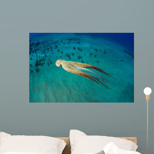 Day Octopus Octopus Cyanea Wall Decal Design 2
