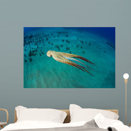 Day Octopus Octopus Cyanea Wall Decal Design 2