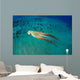 Day Octopus Octopus Cyanea Wall Decal Design 2