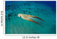 Day Octopus Octopus Cyanea Wall Decal Design 2