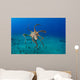 Day Octopus Octopus Cyanea Wall Decal Design 1