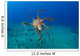 Day Octopus Octopus Cyanea Wall Decal Design 1
