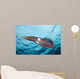 Caribbean Reef Squid Shallow Wall Decal Design 4
