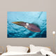 Caribbean Reef Squid Shallow Wall Decal Design 4