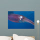 Caribbean Reef Squid Shallow Wall Decal Design 2