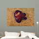 Veined Octopus Octopus Marginatus Wall Decal