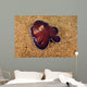 Veined Octopus Octopus Marginatus Wall Decal