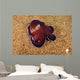 Veined Octopus Octopus Marginatus Wall Decal