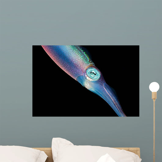 Caribbean Reef Squid Shallow Wall Decal Design 1